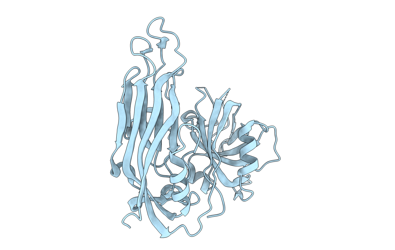 5IBV image