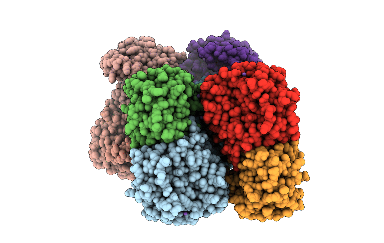 5IBX image
