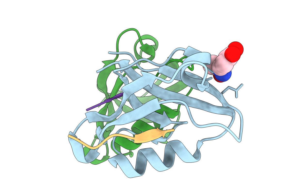 5IC3 image