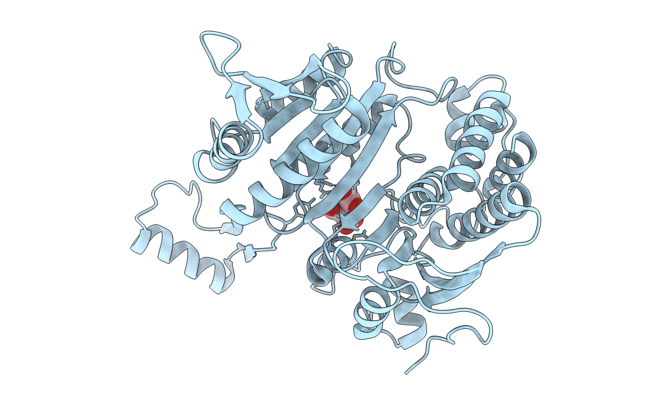 5ICD image