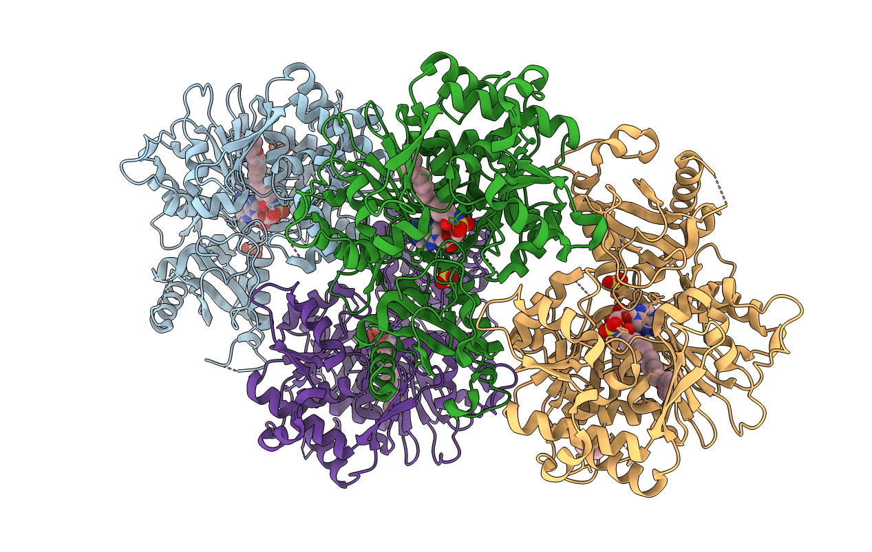 5ICR image