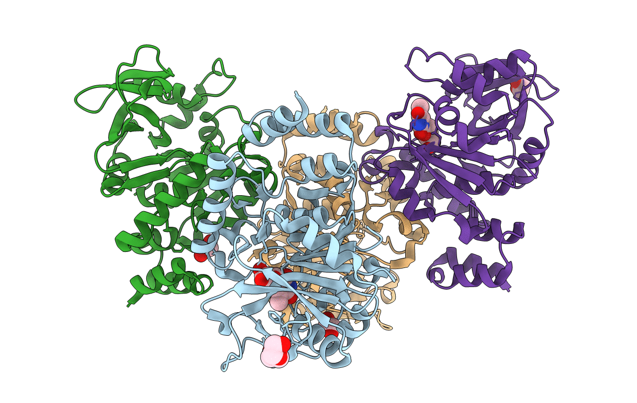 5IDT image