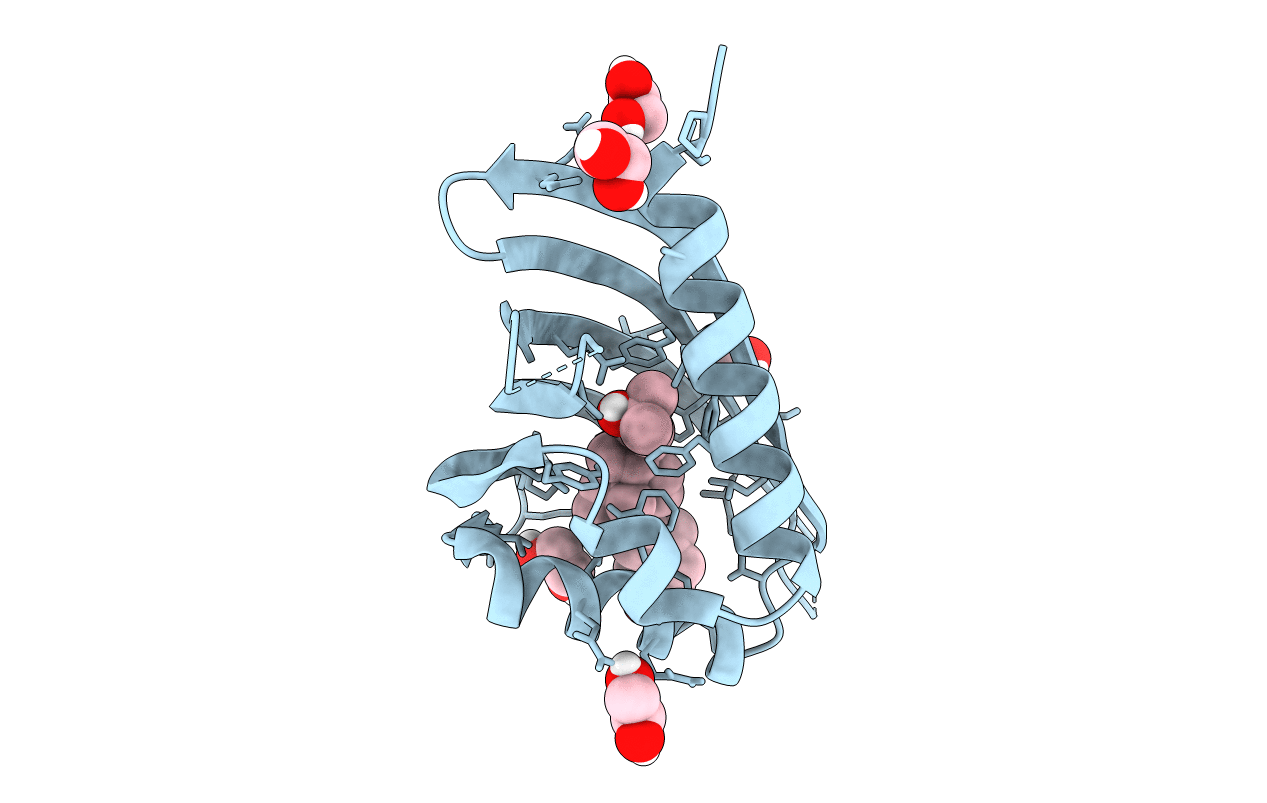 5IEO image