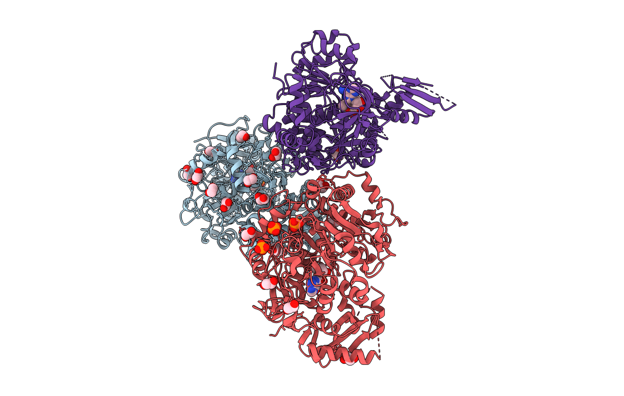 5IFI image