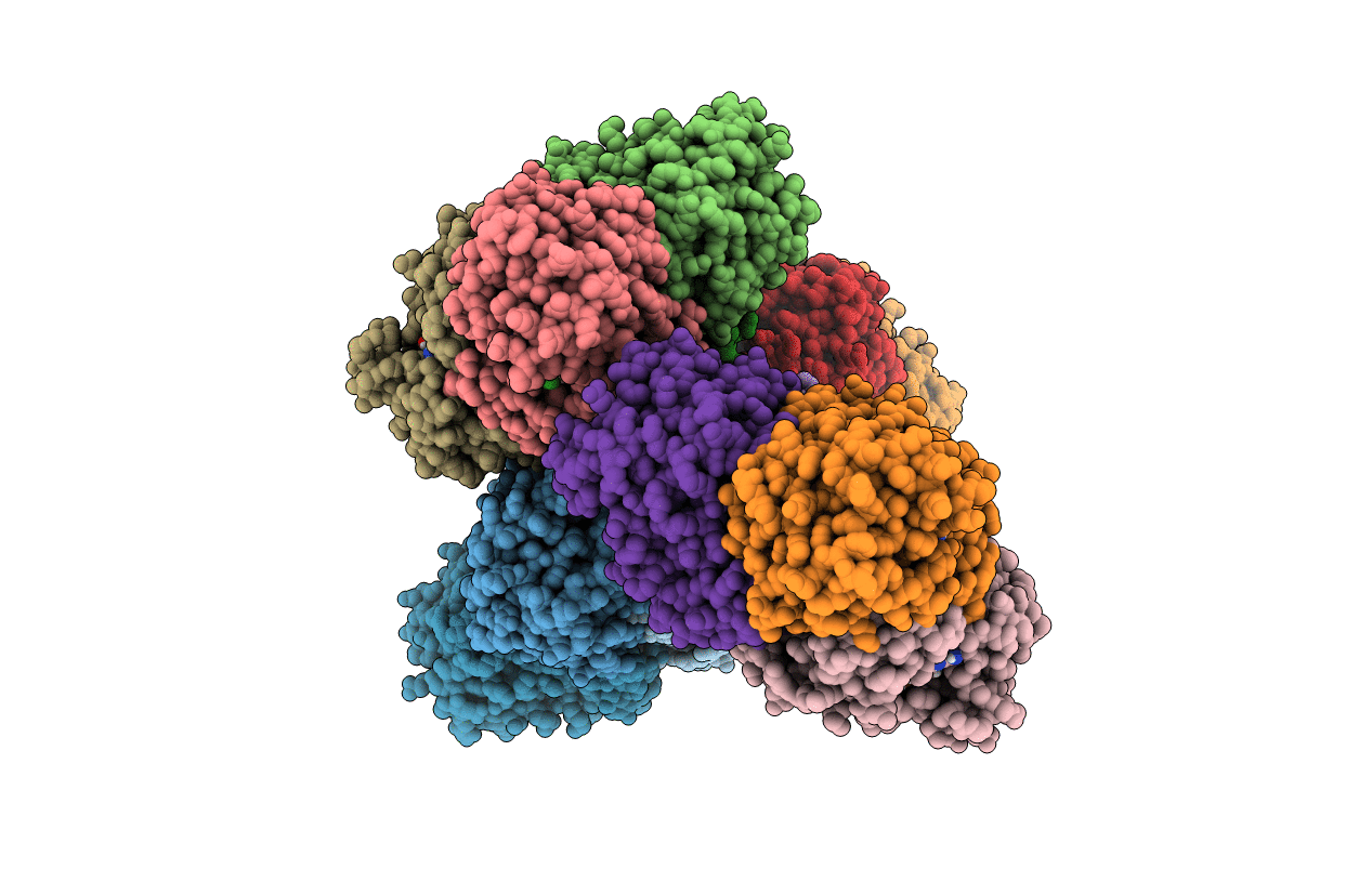 5IFL image