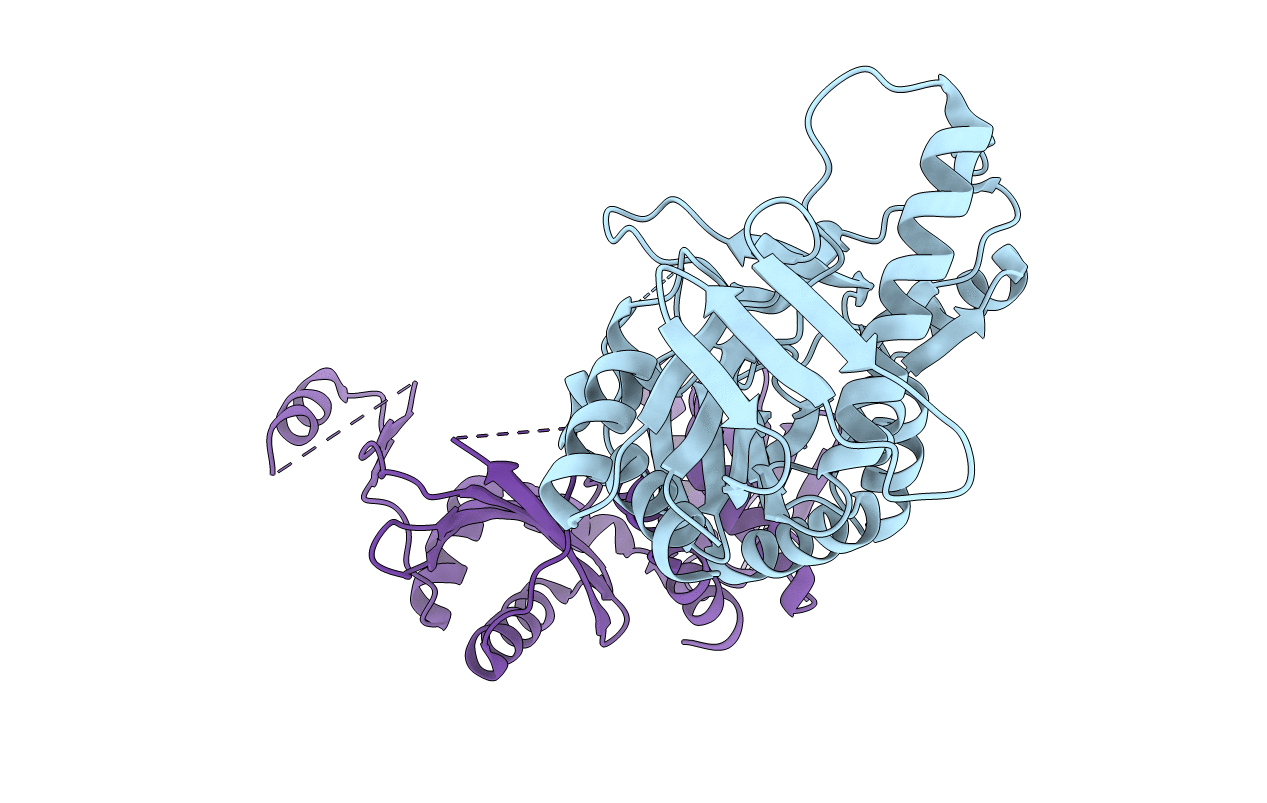 5IG8 image