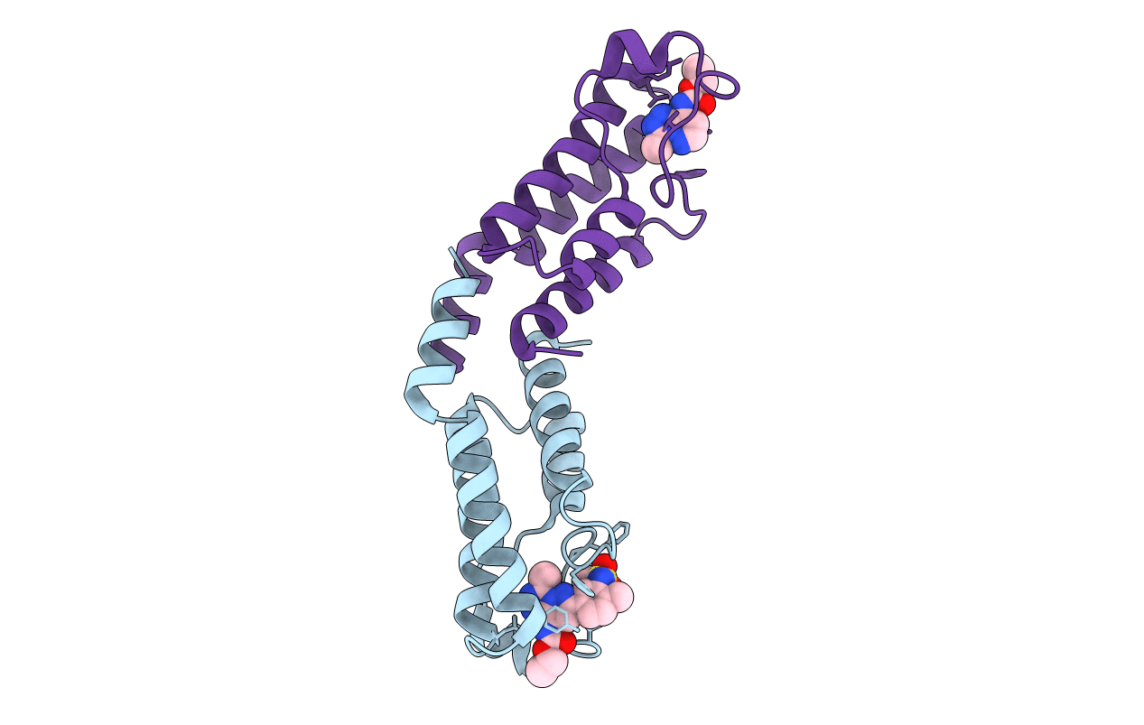 5IGM image