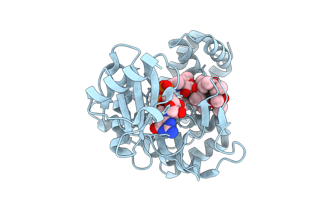 5IGW image