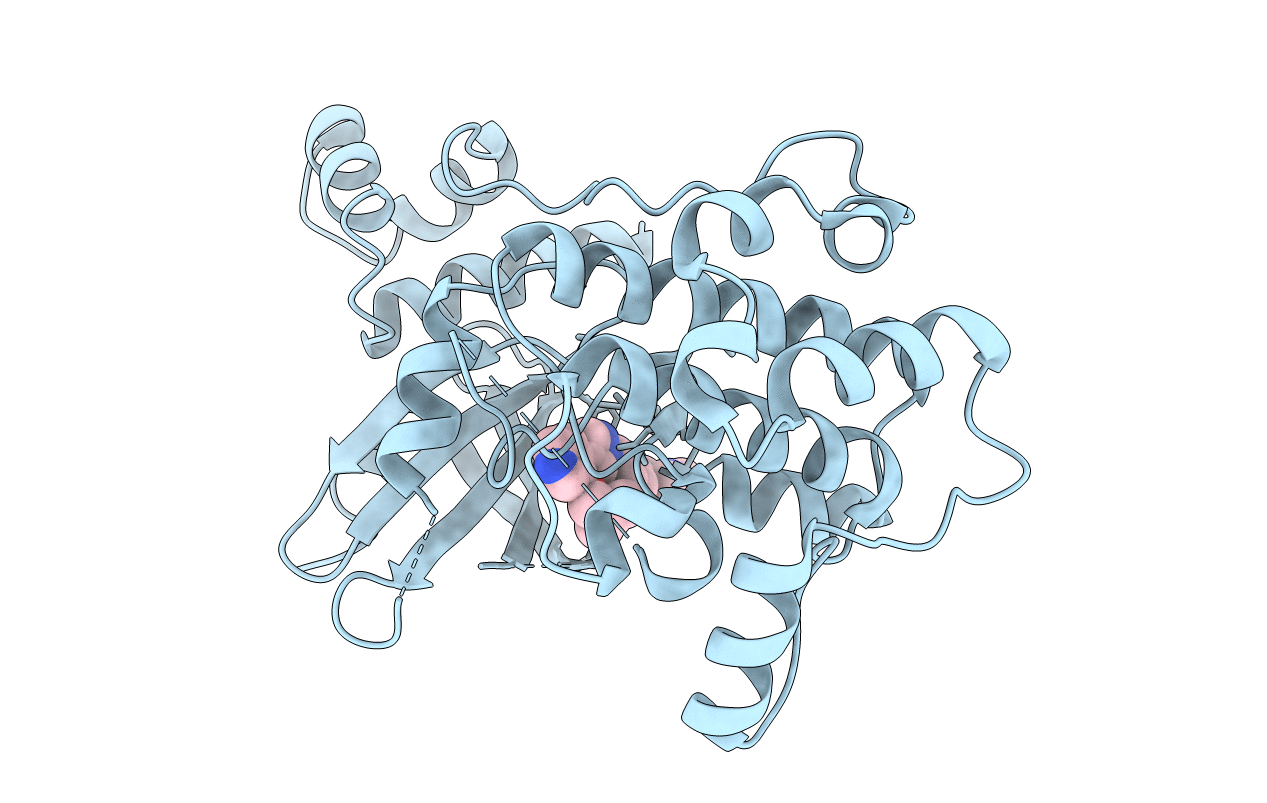 5IHA image