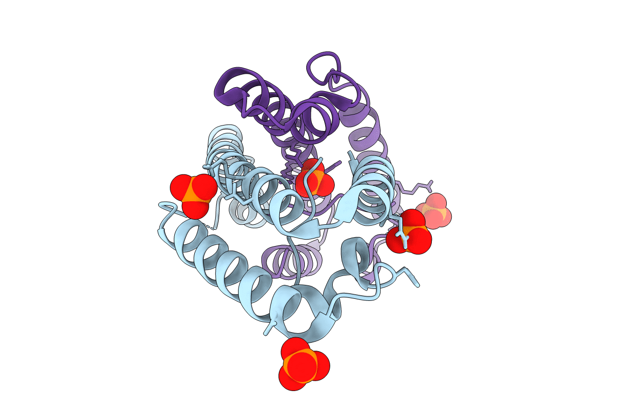 5IHF image