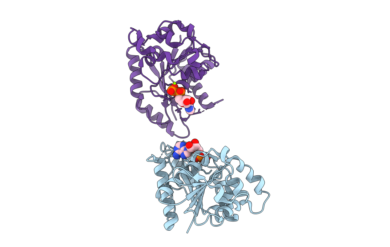5IHP image