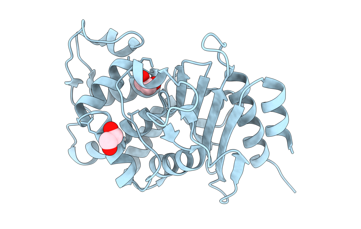 5IHV image
