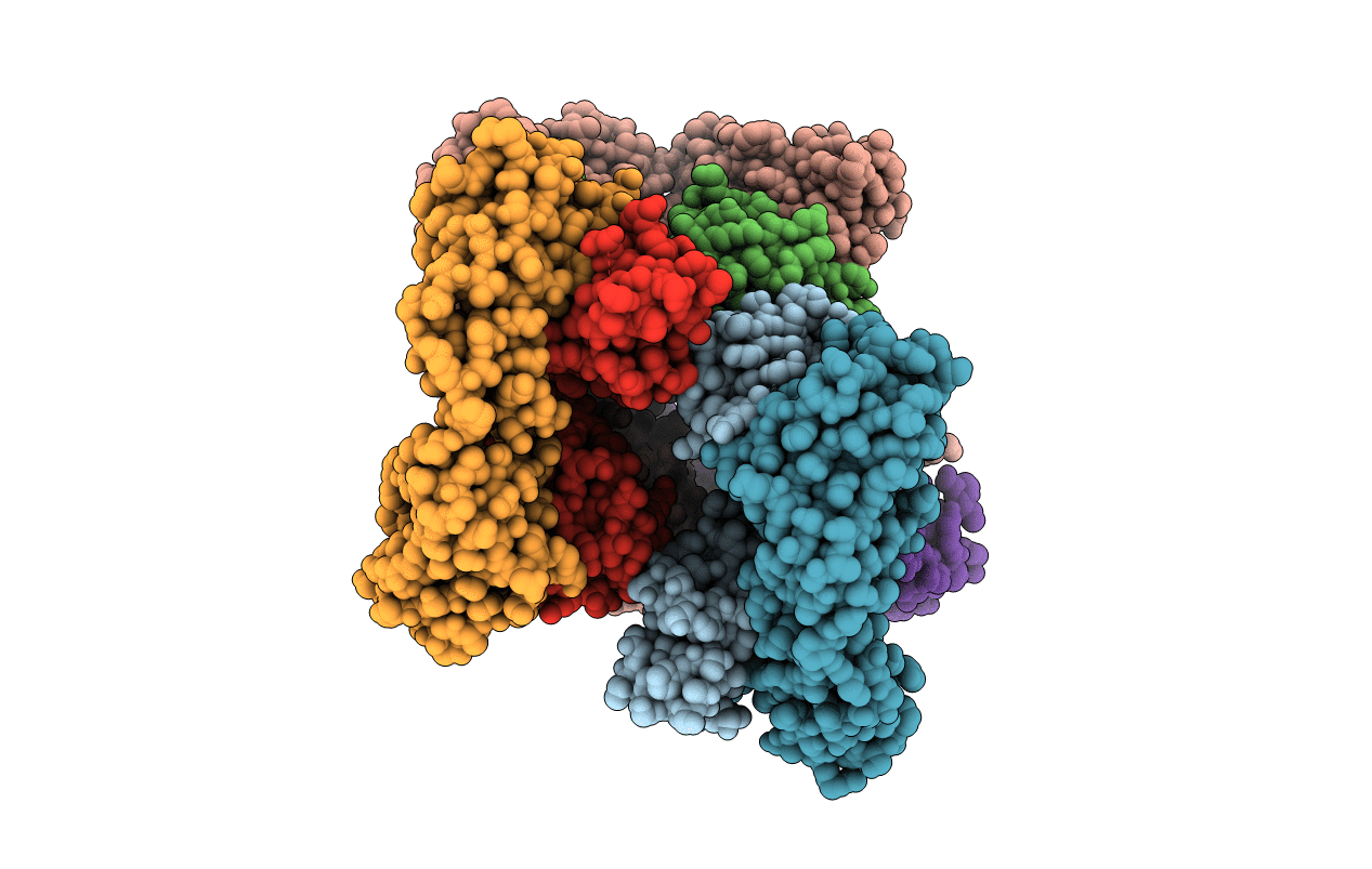 5IHZ image