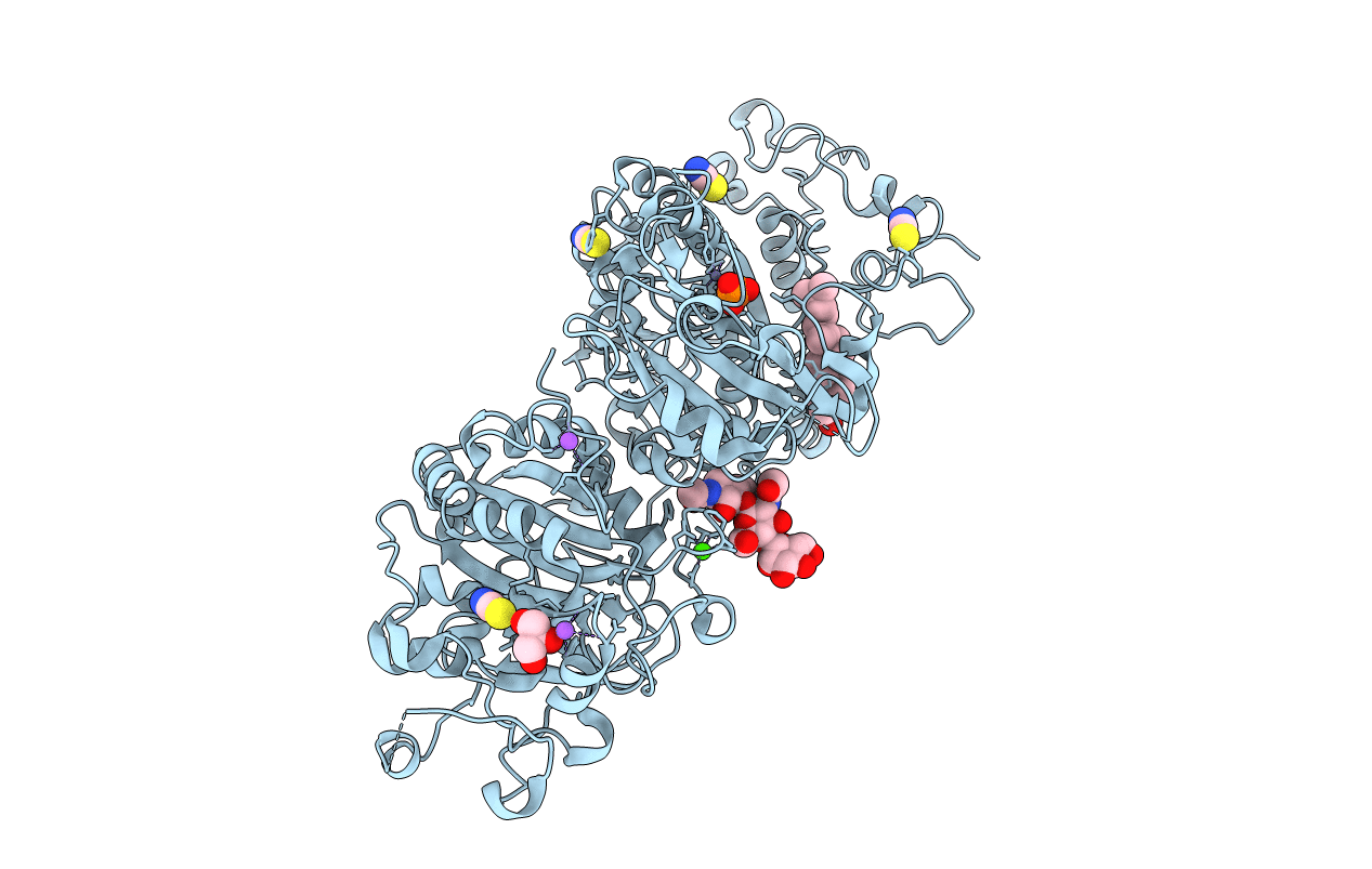 5IJQ image