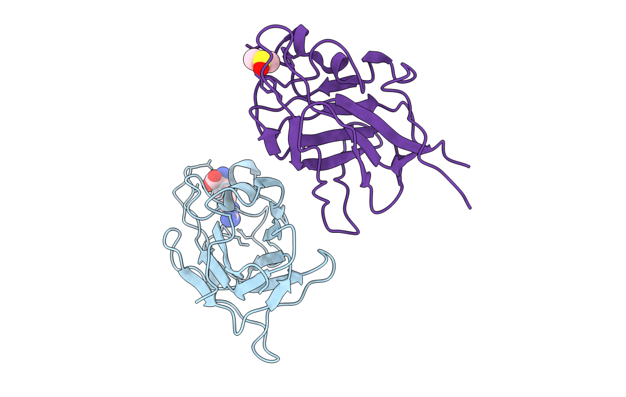 5IJR image