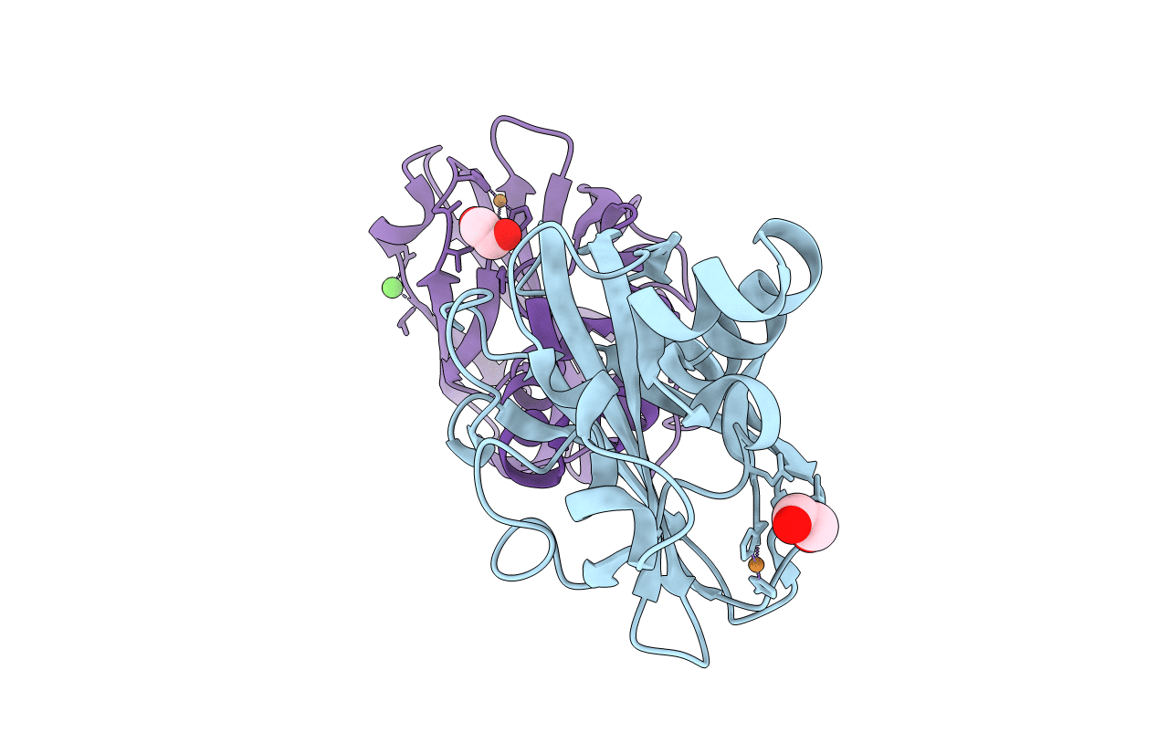 5IJU image