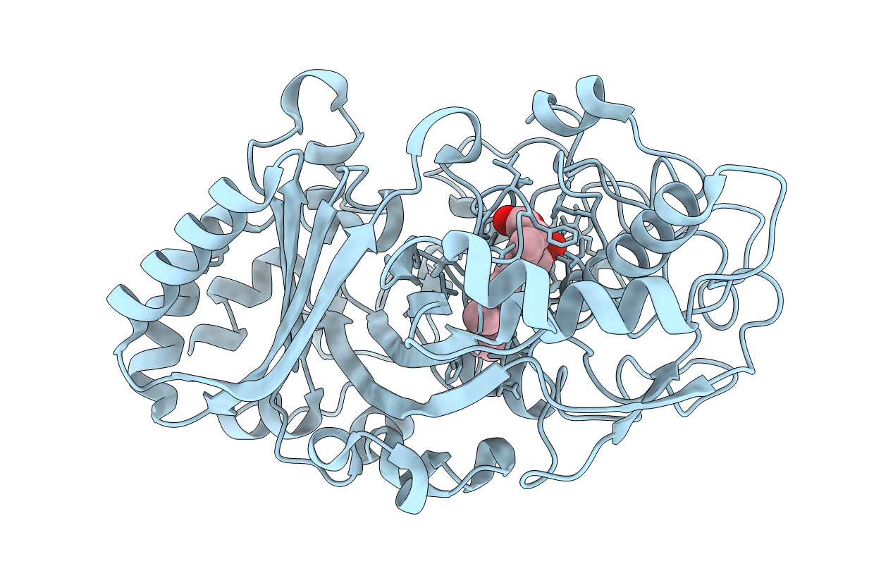 5IKD image
