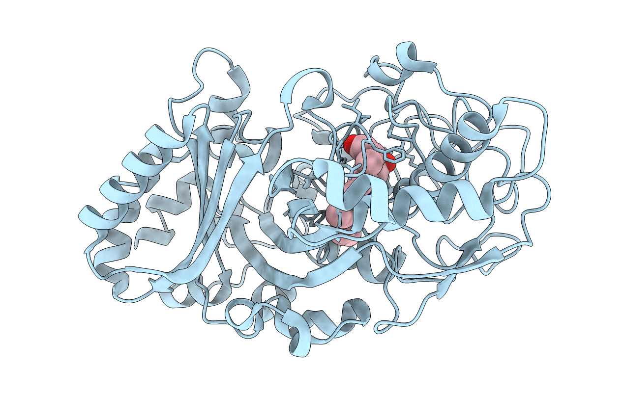 5IKG image