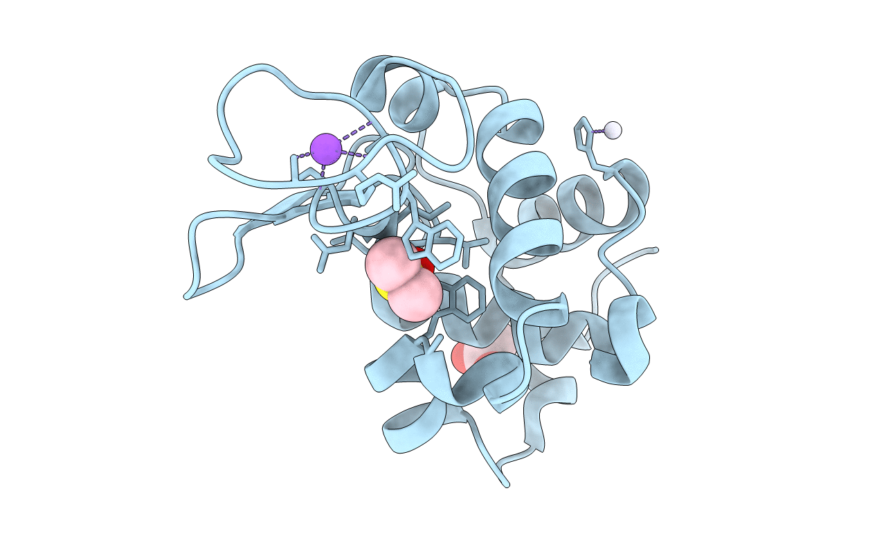 5ILF image