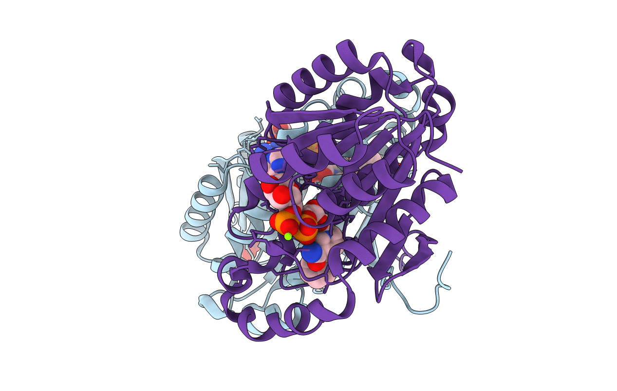 5ILG image