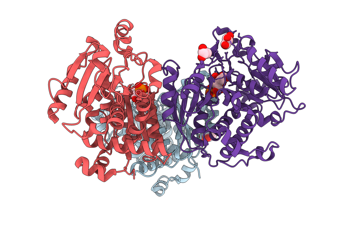 5ILN image