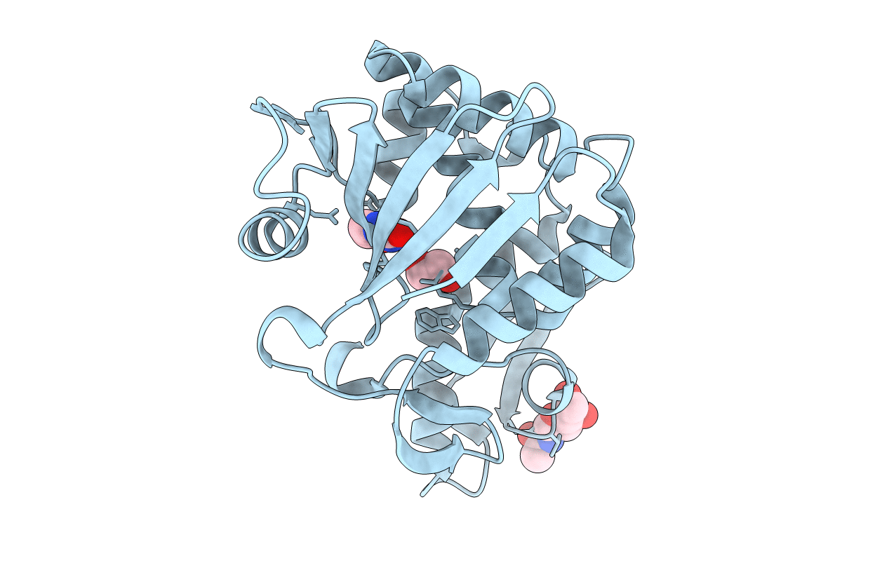 5ILX image