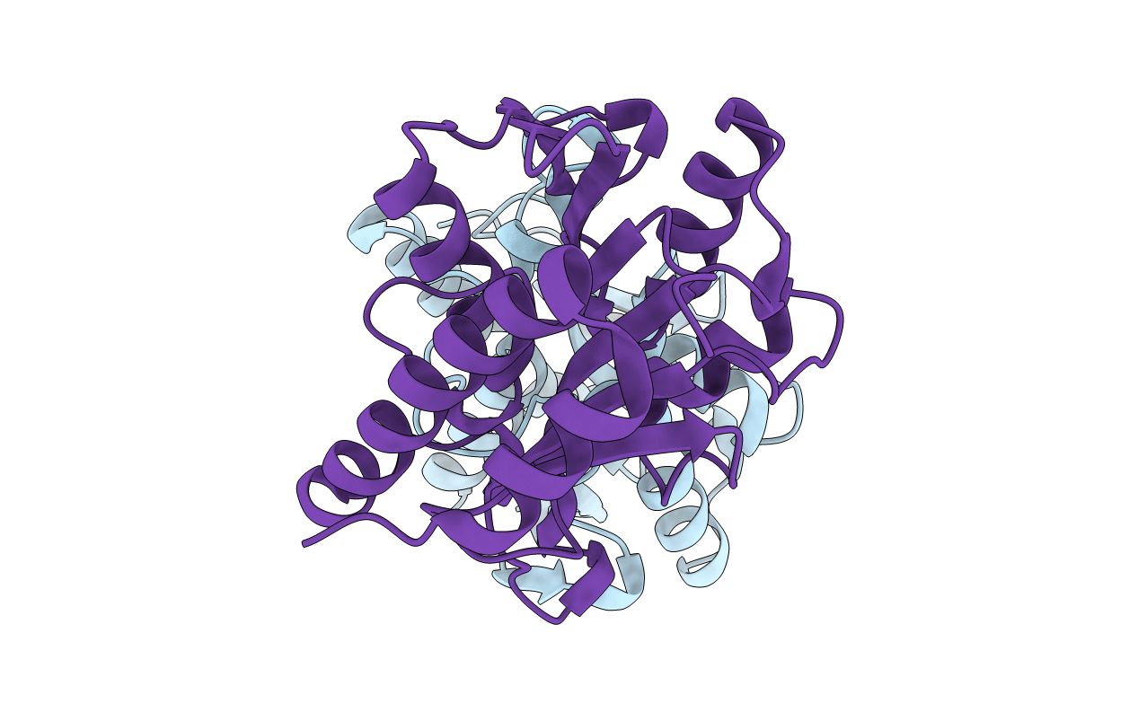 5IMB image