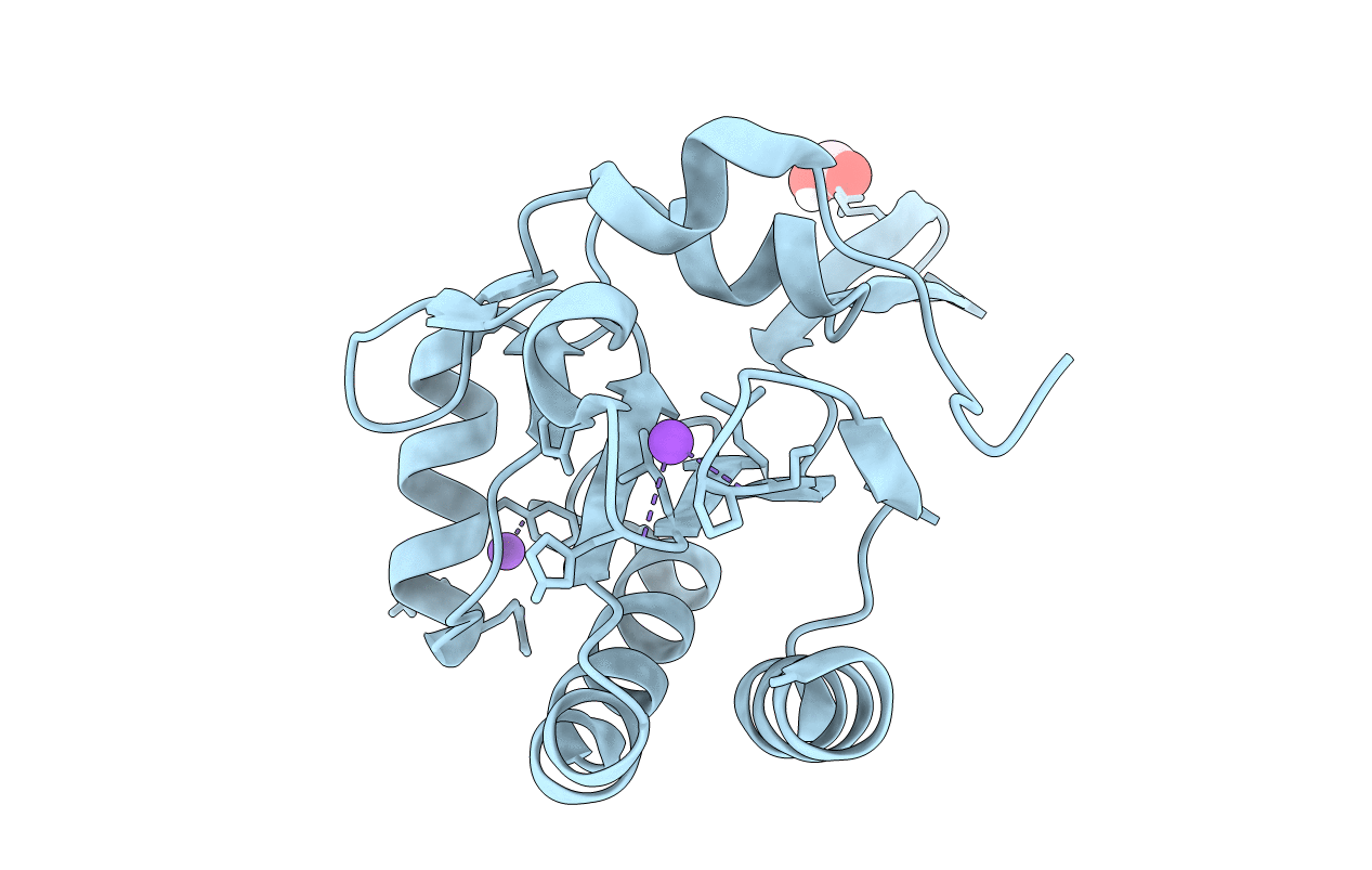 5IMC image
