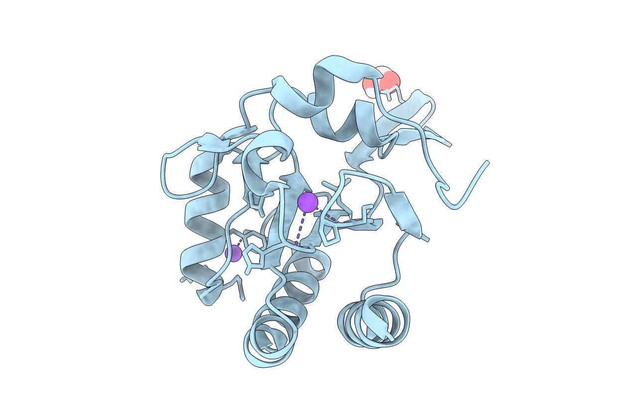 5IMD image