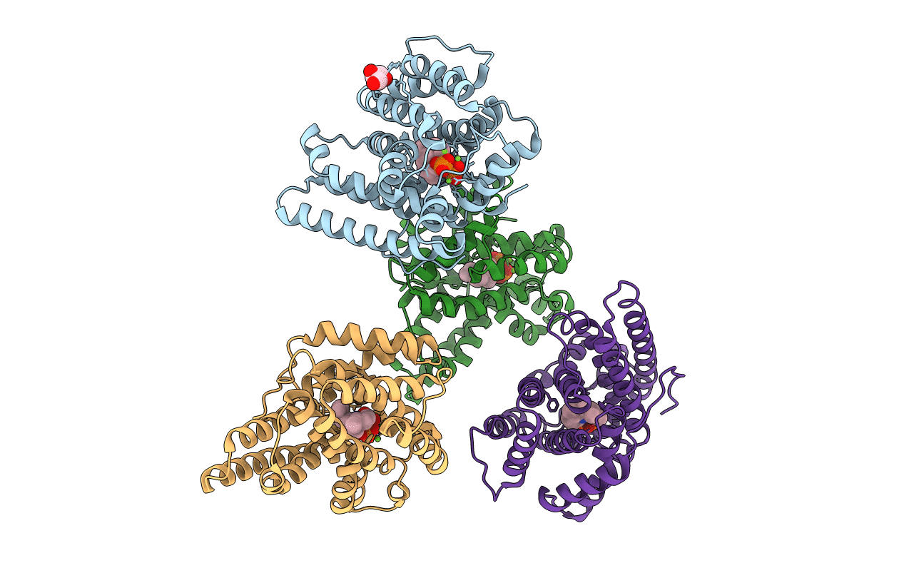 5IMI image