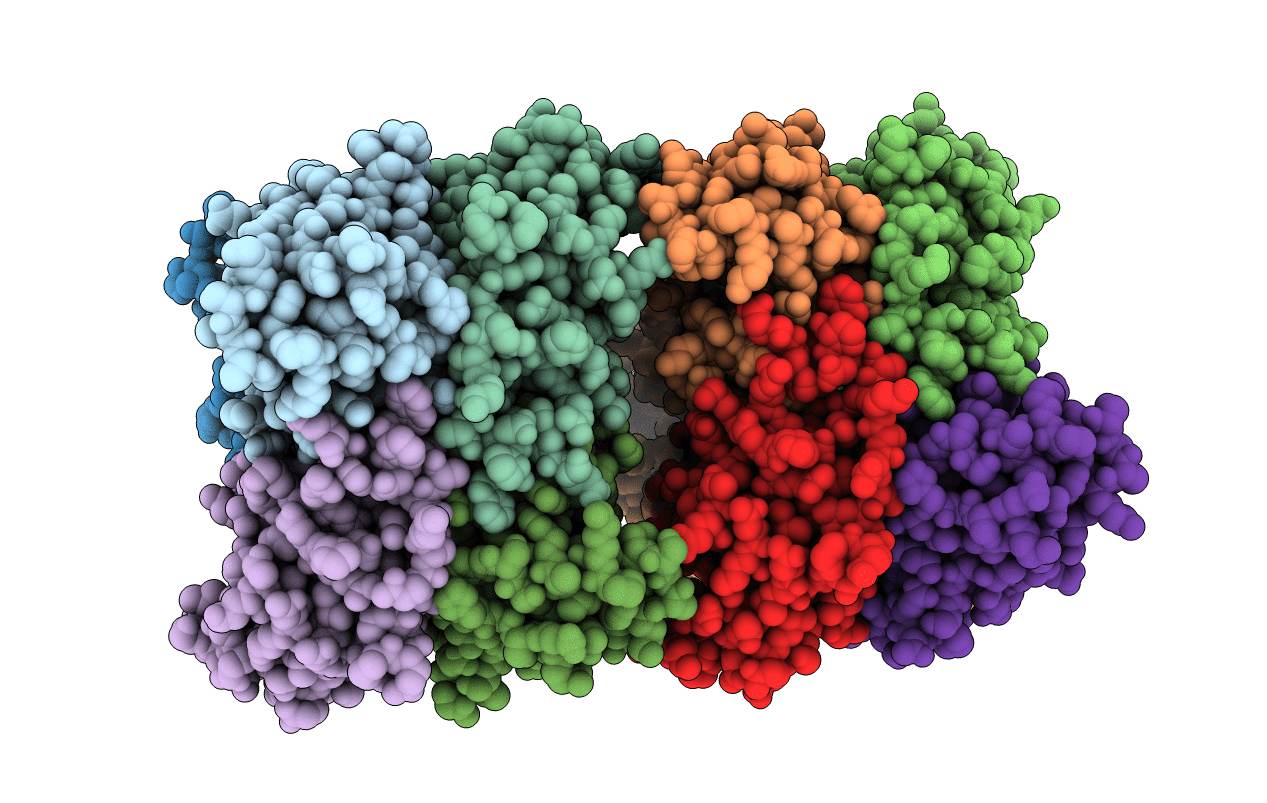 5IOL image
