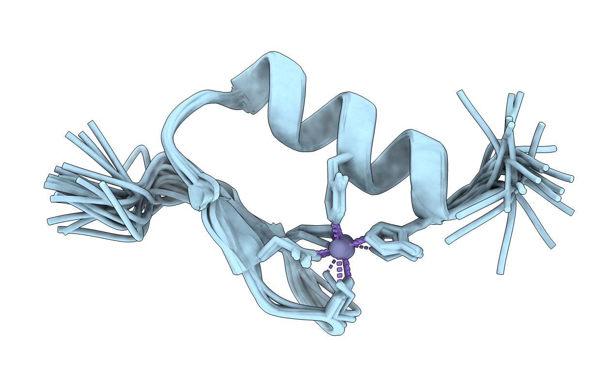 5ION image