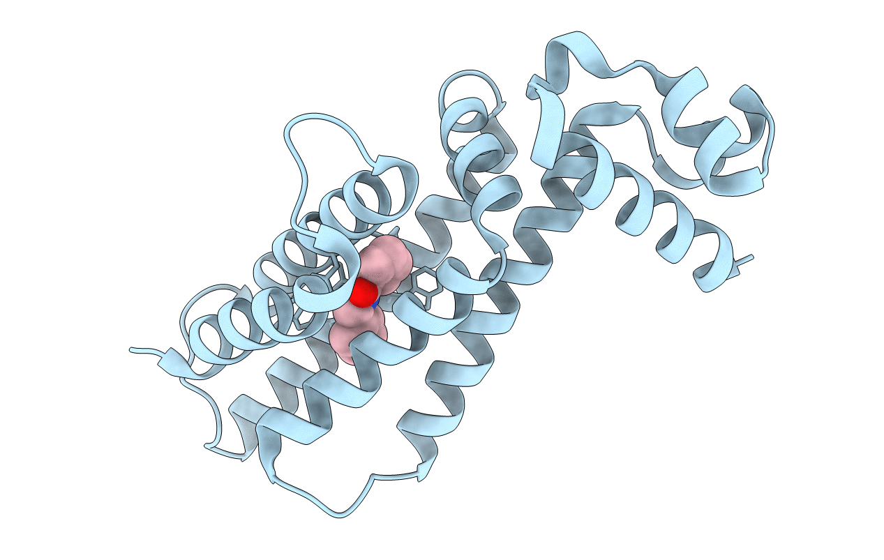 5IOZ image