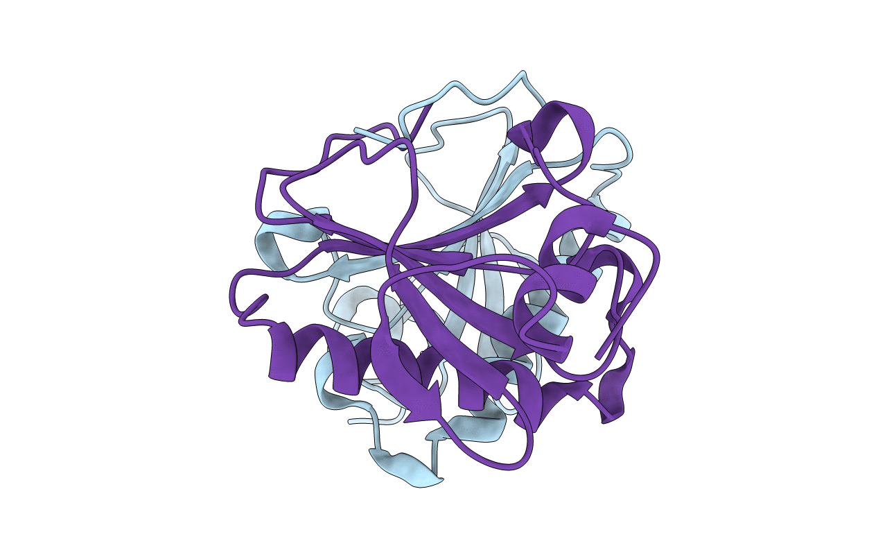 5IPB image