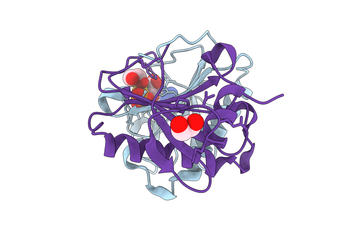 5IPE image