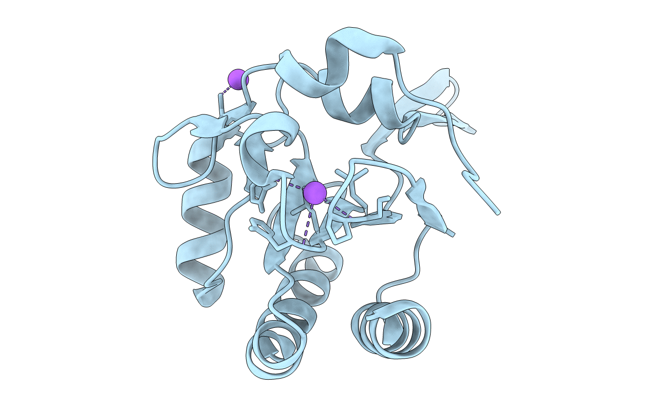 5IPG image