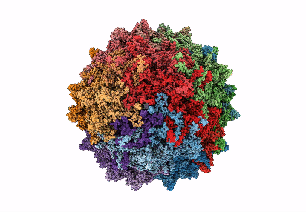 5IPI image