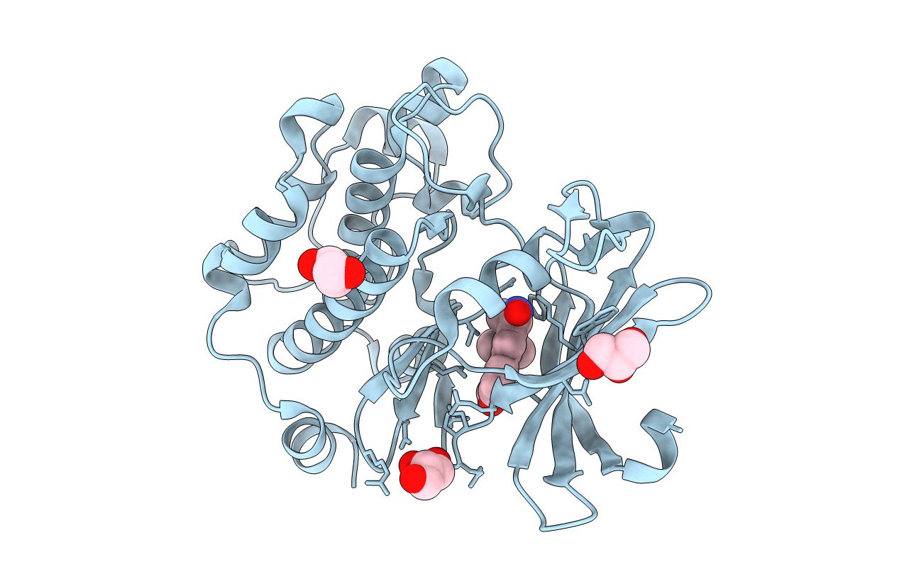 5IPJ image