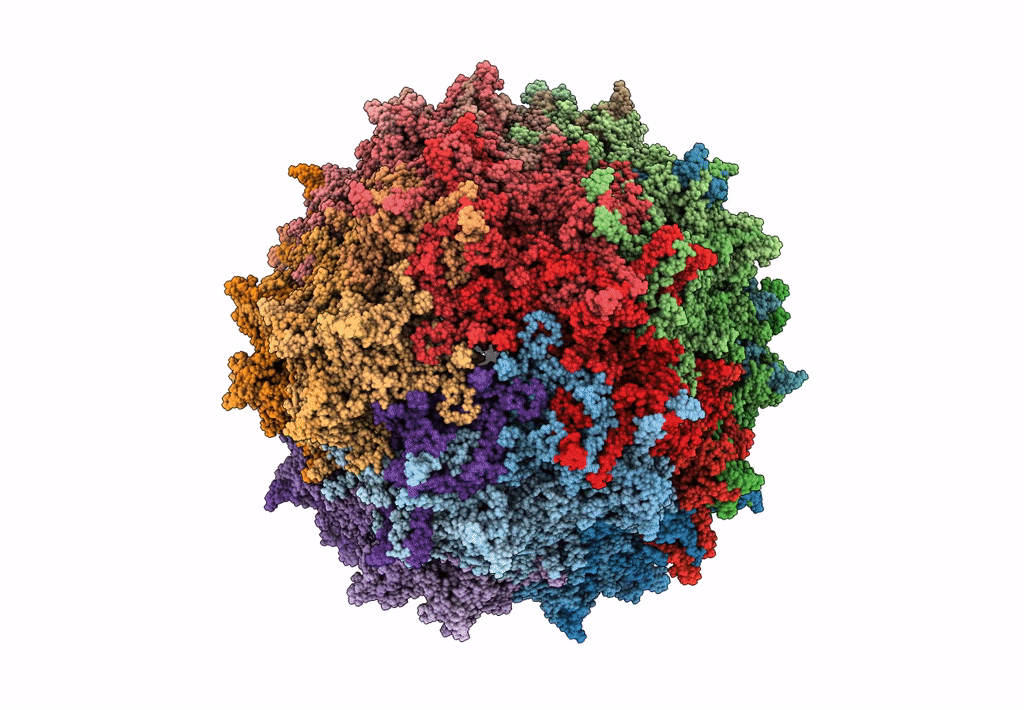 5IPK image