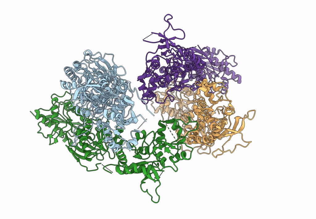 5IPQ image