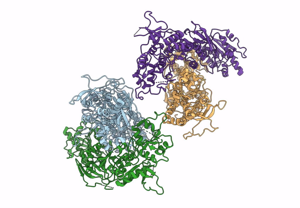 5IPR image