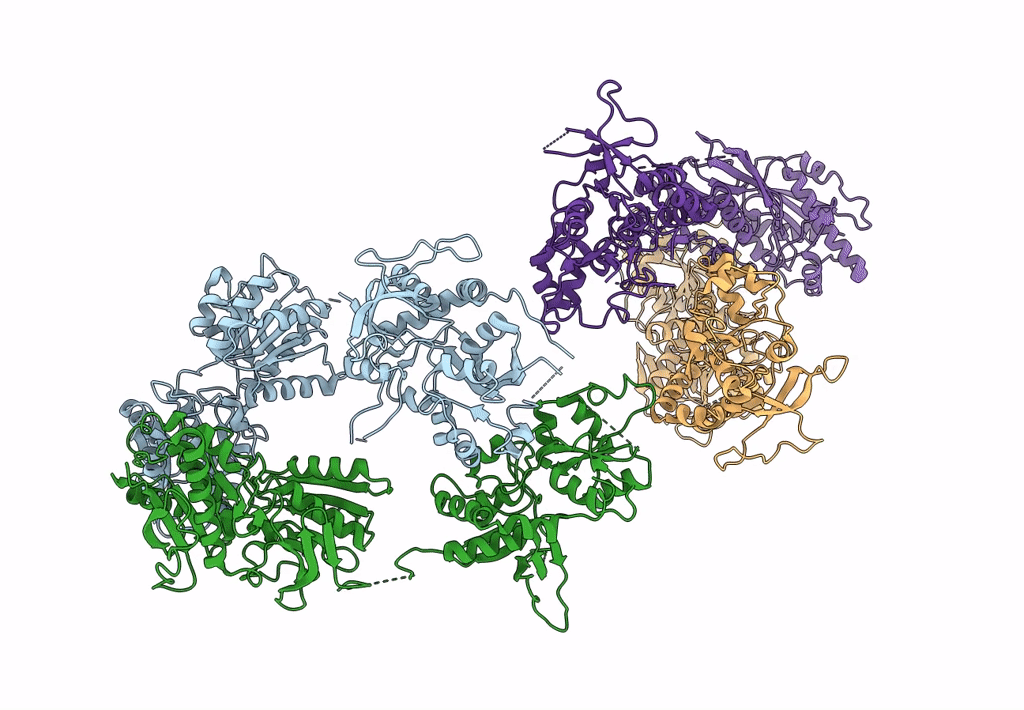 5IPU image