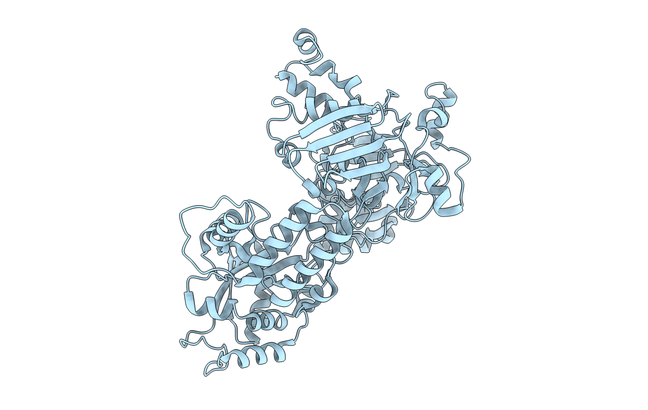 5IPW image
