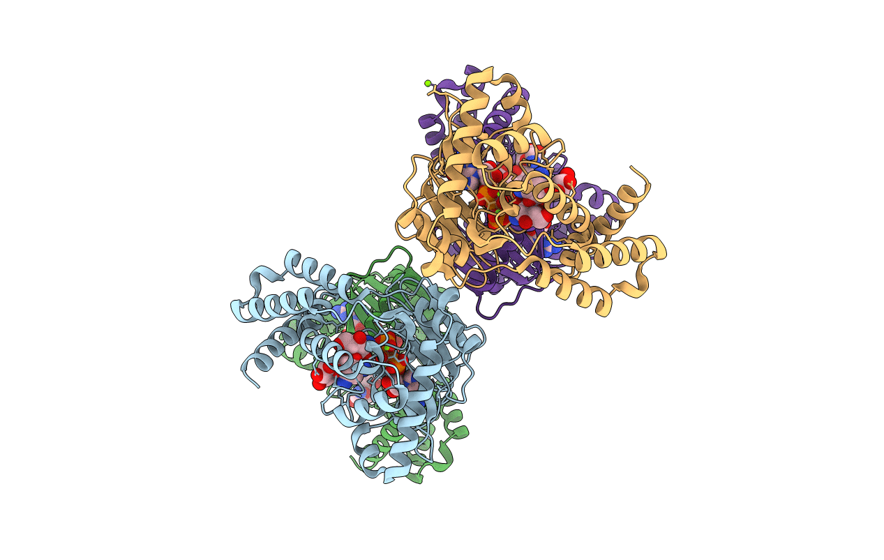 5IQB image