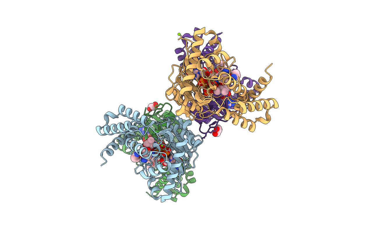 5IQC image