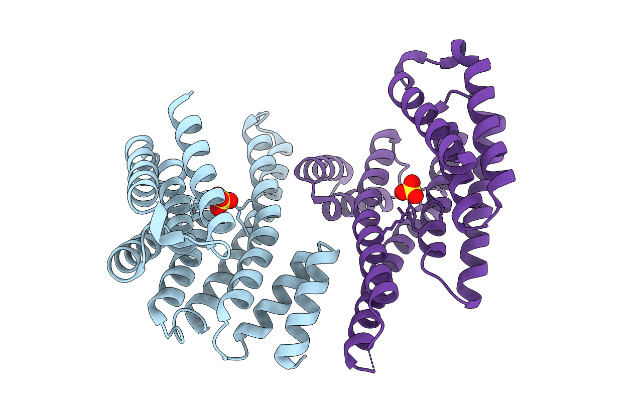 5IQP image