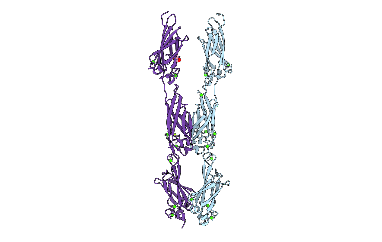 5IRB image
