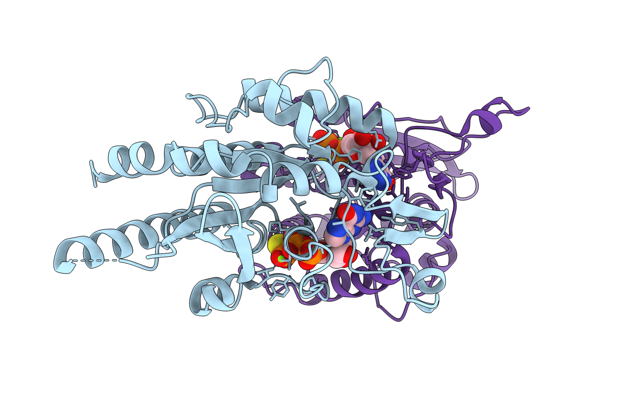 5IRR image