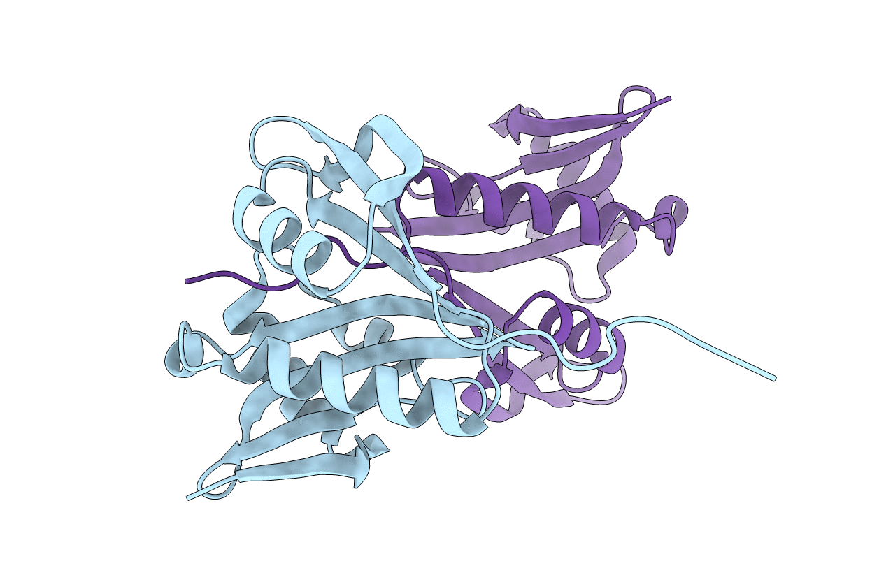 5ISV image