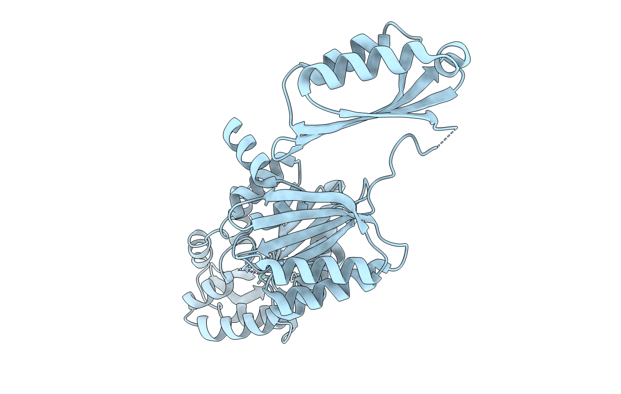 5IT4 image